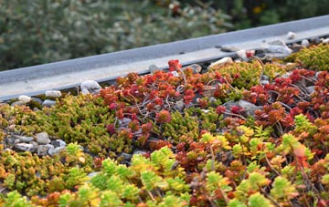 the cost of Trispen green roof installation