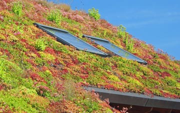 Trispen living roof systems